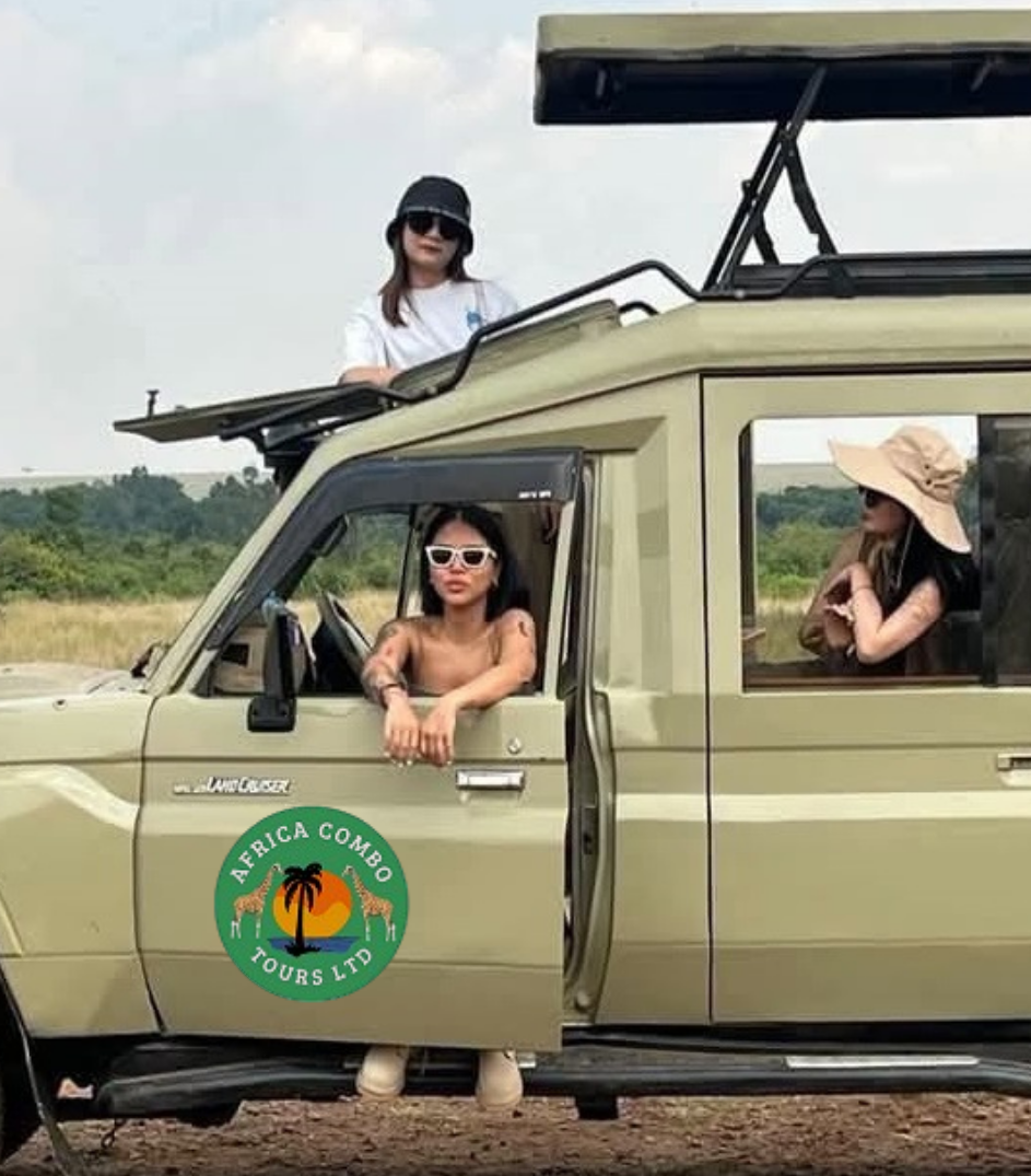 Best Kenya and Tanzania combined safari package